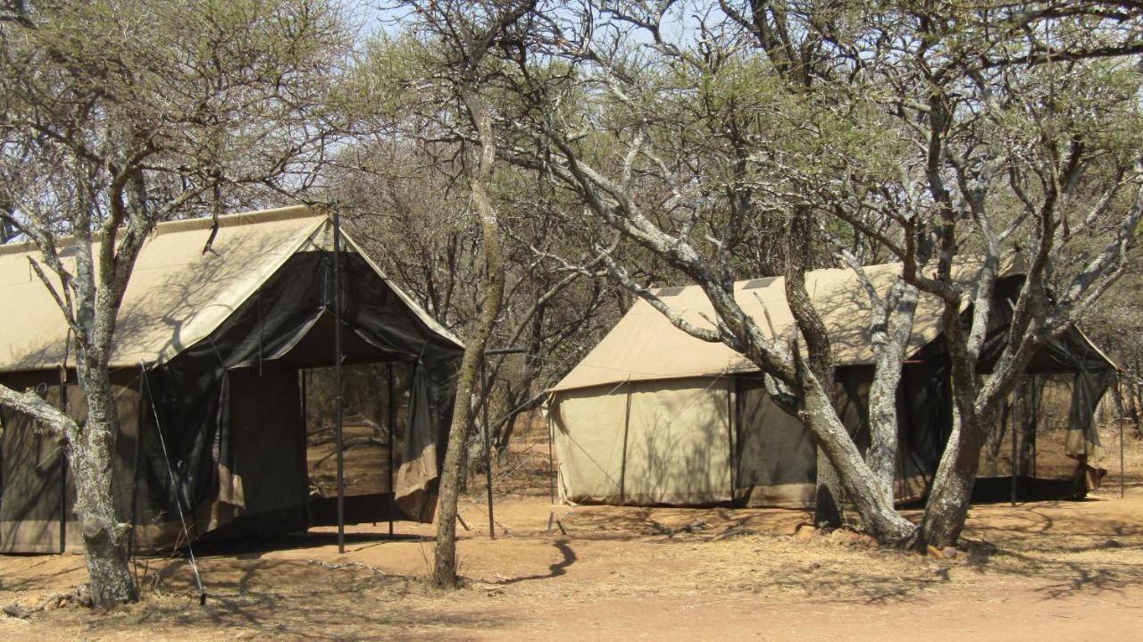 Zebra Nature Reserve Cullinan Εξωτερικό φωτογραφία